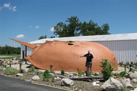 Former Knievel bodyguard to jump giant crab