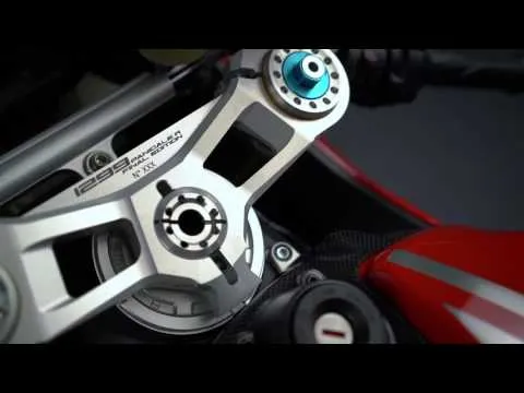 Ducati 1299 Panigale R Final Edition - take a closer look