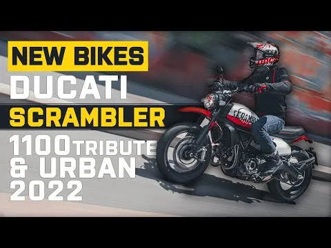 Ducati Scrambler 1100 Tribute PRO and Ducati Scrambler Urban Motard 2022 Specs | Visordown.com