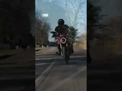 Wheelie good fun! 2023 Ducati Monster SP