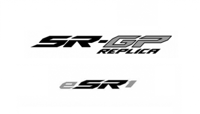ESR1 logo