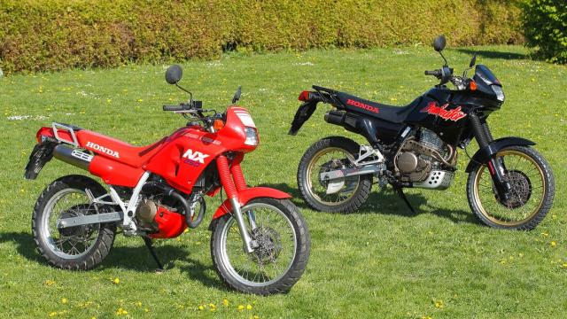 Honda NX 250 and NX 650 Dominator. - Motorrad/Jacek Bilski