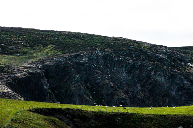 Isle of Man scenery, cliffs, sheep.