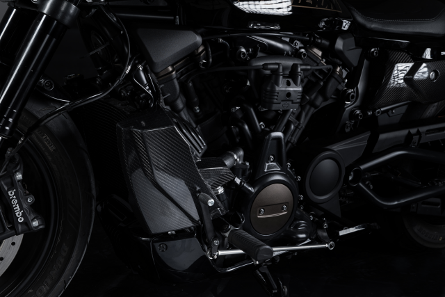 Harley-Davidson Sportster S 1250 with Zard kit.