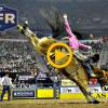 Nfr Live Stream's picture