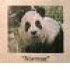 Pandamonium's picture