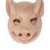 English Pig's picture