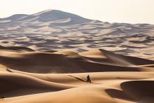 Dakar Rally racing through the desert