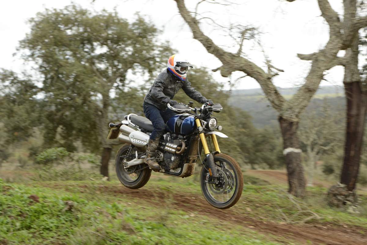 Triumph best sale xc scrambler