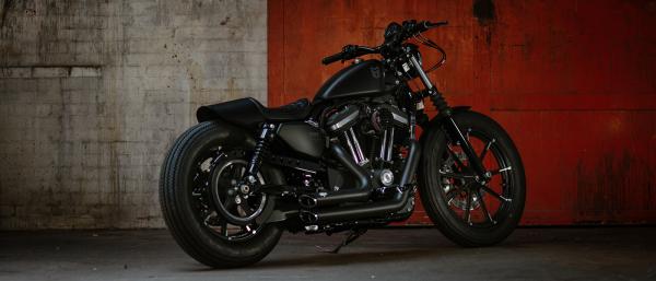 Check out this one-off 'Muttified' Iron 883