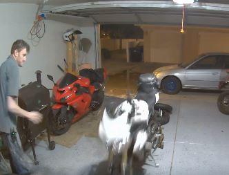 WATCH: Here’s why you should never trust a paddock stand