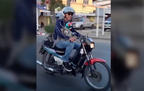 Video: Cats caught bizarrely riding pillion and wearing miniature helmets