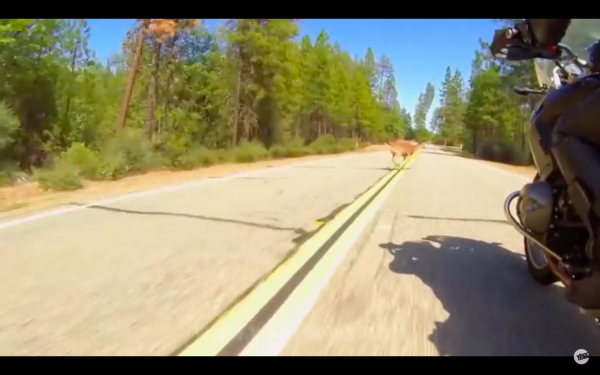 The Top 5 Craziest Bike Clips You've Ever Seen...