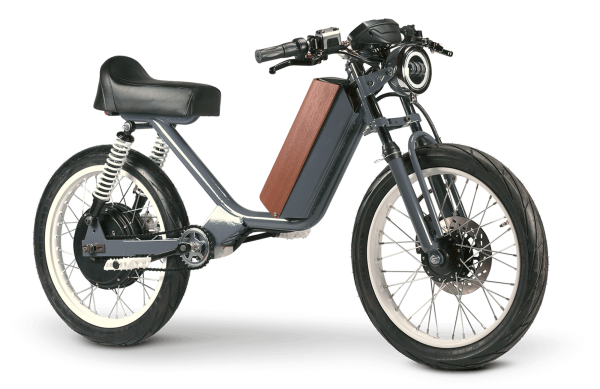 Are these electric bikes or electric cycles?