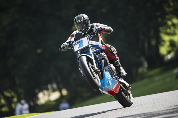 Competition Suzuki SV650 at Cadwell Park. - Jamie Morris/Suzuki