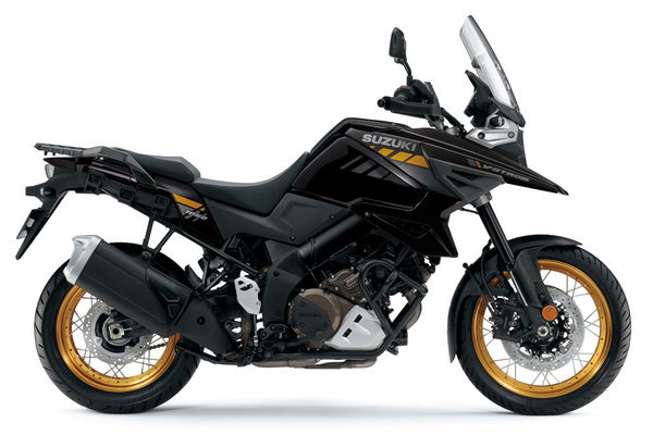 vstrom black gold